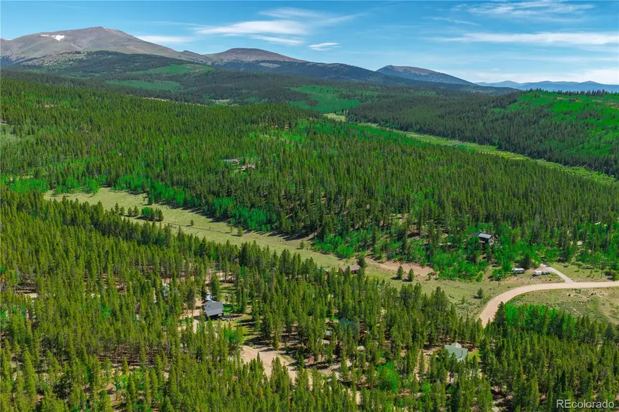 324 Ski Doo Road, Fairplay, CO 80440 - #3