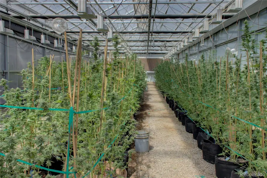 49976 County Rd T, Saguache, CO 81149 - Image #2