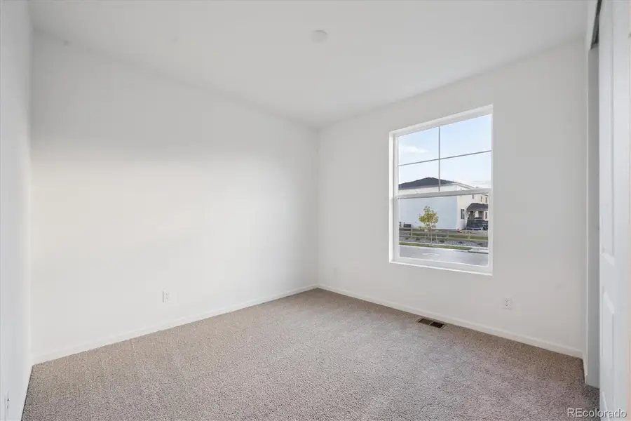 928 Steppe Lane, Windsor, CO 80550 - #2