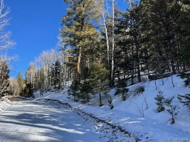 Lot 5339 Howard Road, Fort Garland, CO 81133 - #1