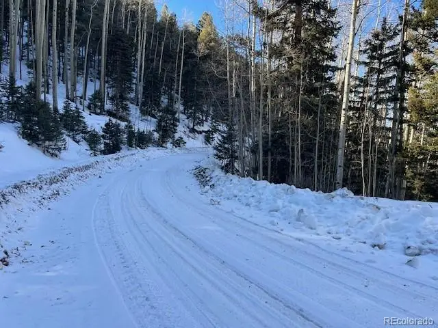 Lot 5339 Howard Road, Fort Garland, CO 81133 - #2