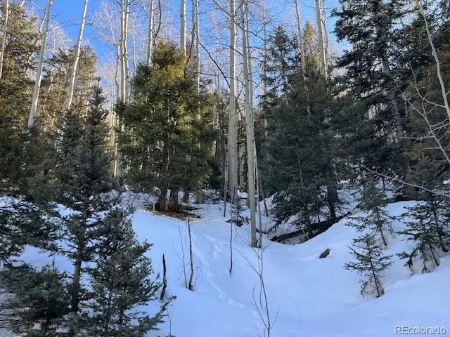 Lot 5339 Howard Road, Fort Garland, CO 81133 - #3