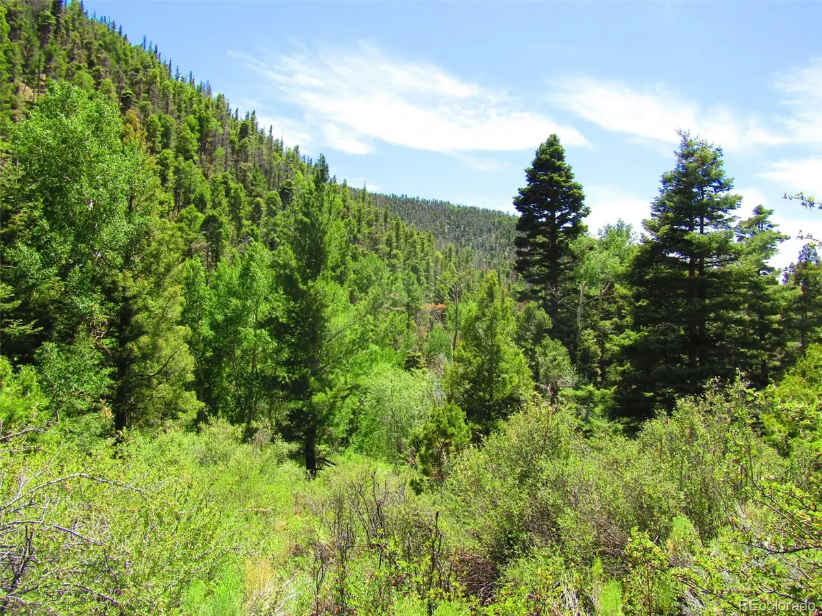 Lot 5526 Joy Road, Fort Garland, CO 81133 - #1