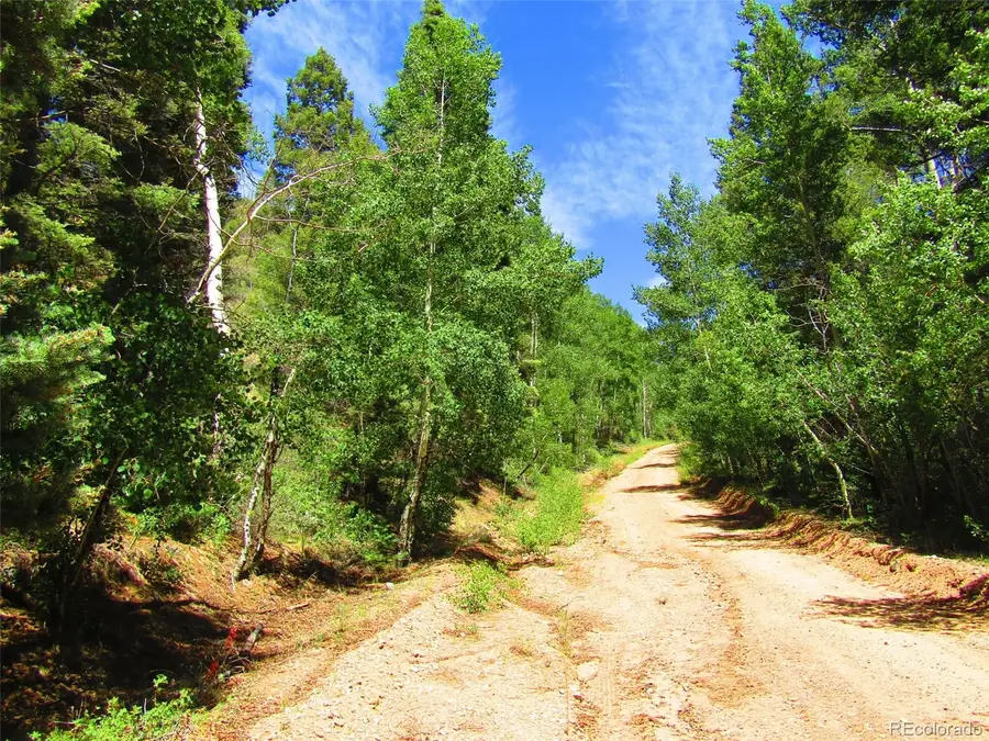 Lot 5526 Joy Road, Fort Garland, CO 81133 - #3
