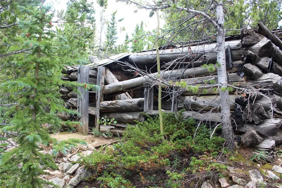 5285 Lucy Agnes, Black Hawk, CO 80422 - #2