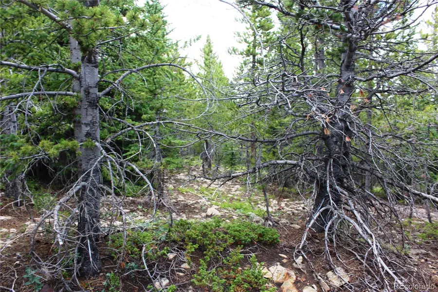 5285 Lucy Agnes, Black Hawk, CO 80422 - #3