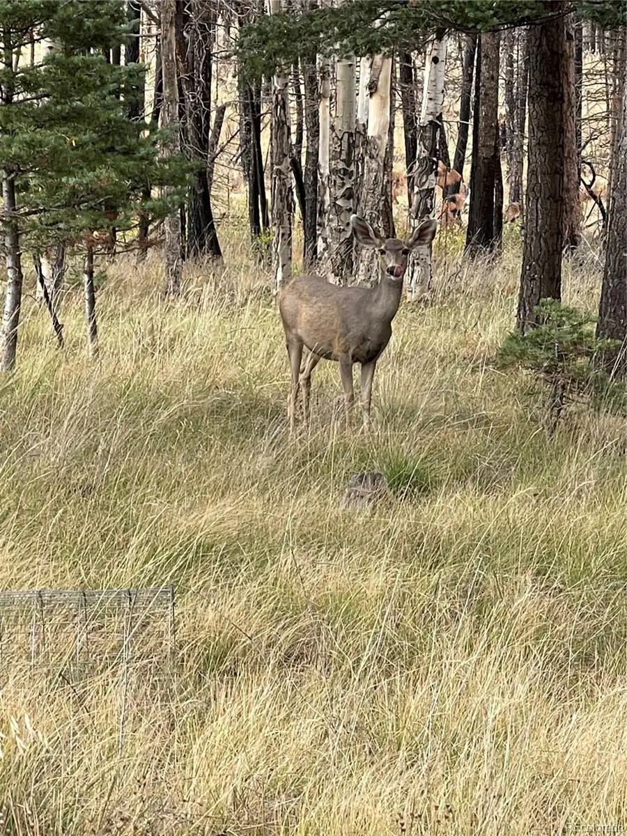 lot 542 Forbes Park, Fort Garland, CO 81133 - #1