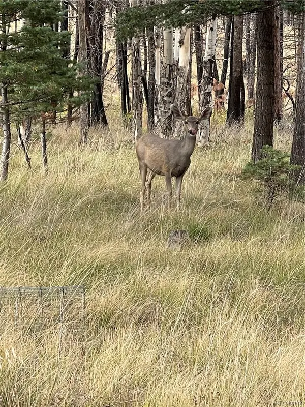 lot 542 Forbes Park, Fort Garland, CO 81133