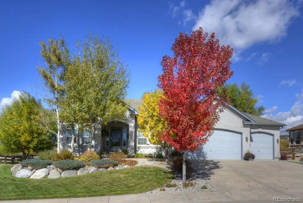 698 Larimer Creek Drive, Monument, CO 80132 - #1