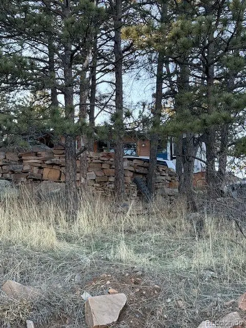 433 Gunn Avenue, Berthoud, CO 80513 - Image #2