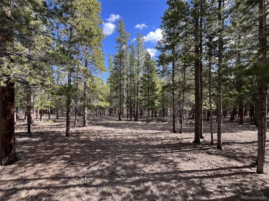 30336 National Forest Drive, Buena Vista, CO 81211 - Image #2