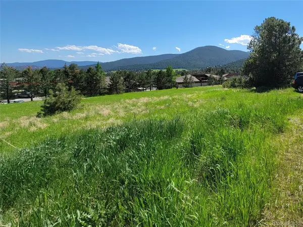 31720 Rocky Village Drive, Evergreen, CO 80439