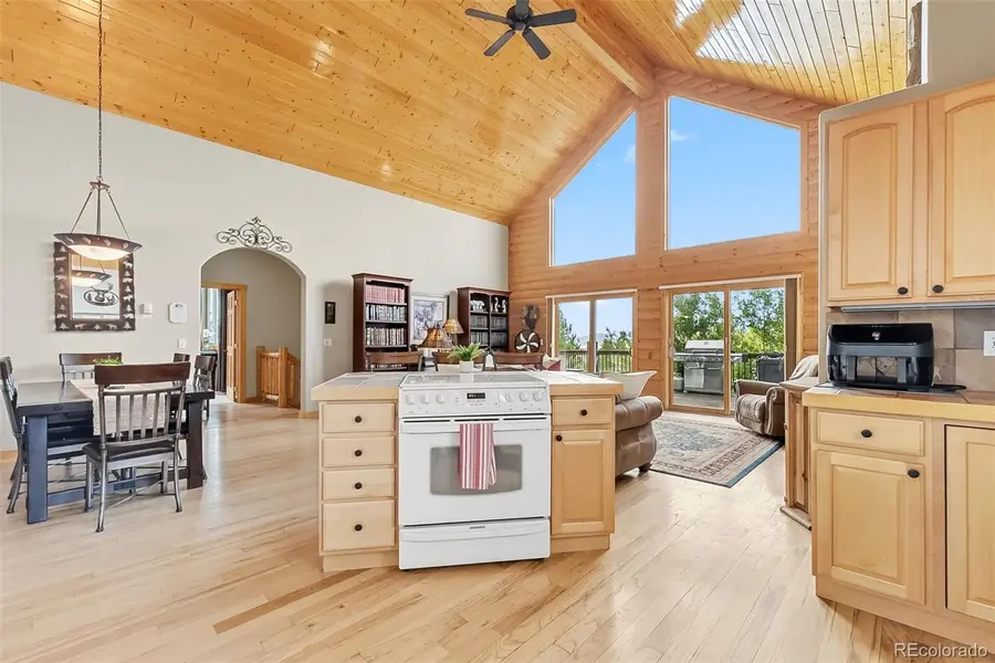 2649 Coil Drive, Fairplay, CO 80440 - #2