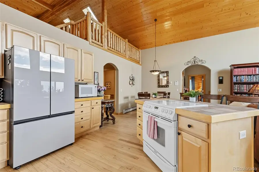 2649 Coil Drive, Fairplay, CO 80440 - #3