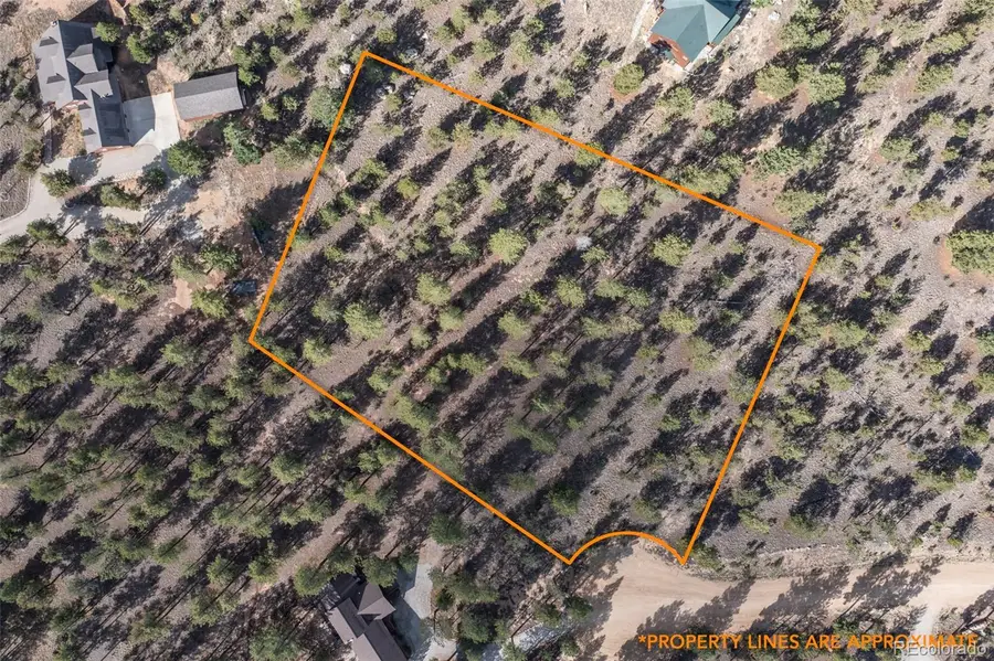 30664 Gray Jay Draw, Buena Vista, CO 81211 - Image #3