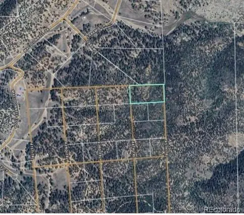 TR-1 G Path, Cotopaxi, CO 81223