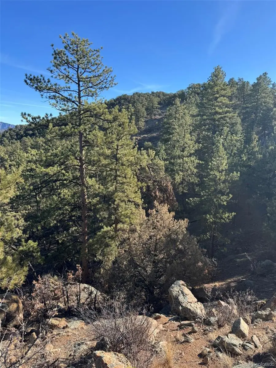 TR-1 G Path, Cotopaxi, CO 81223 - Image #2