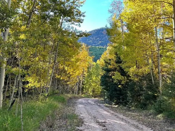 Lot 5174 Mo, Fort Garland, CO 81133