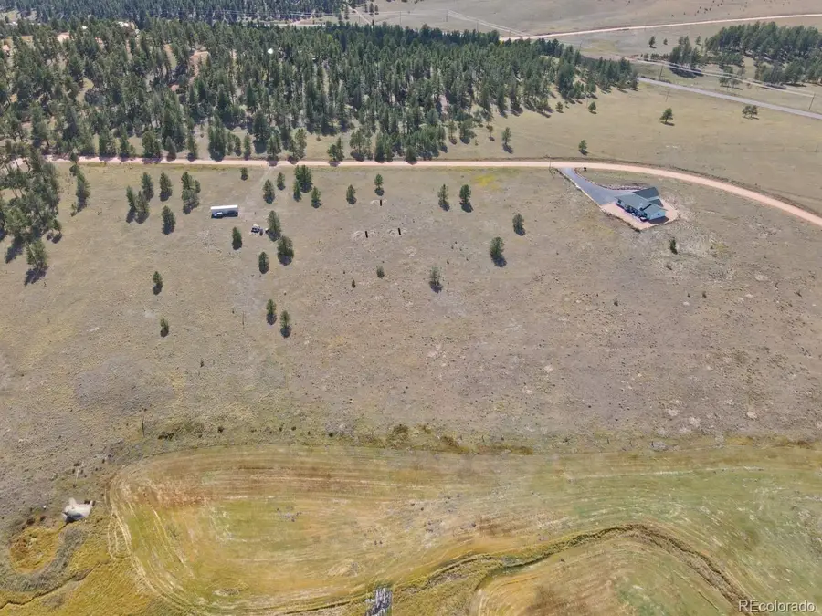 300 S Deer Mountain Road, Florissant, CO 80816 - #2