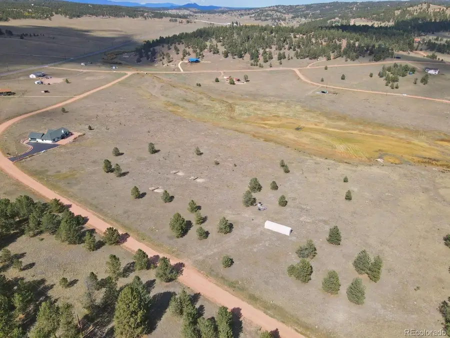 300 S Deer Mountain Road, Florissant, CO 80816 - #3