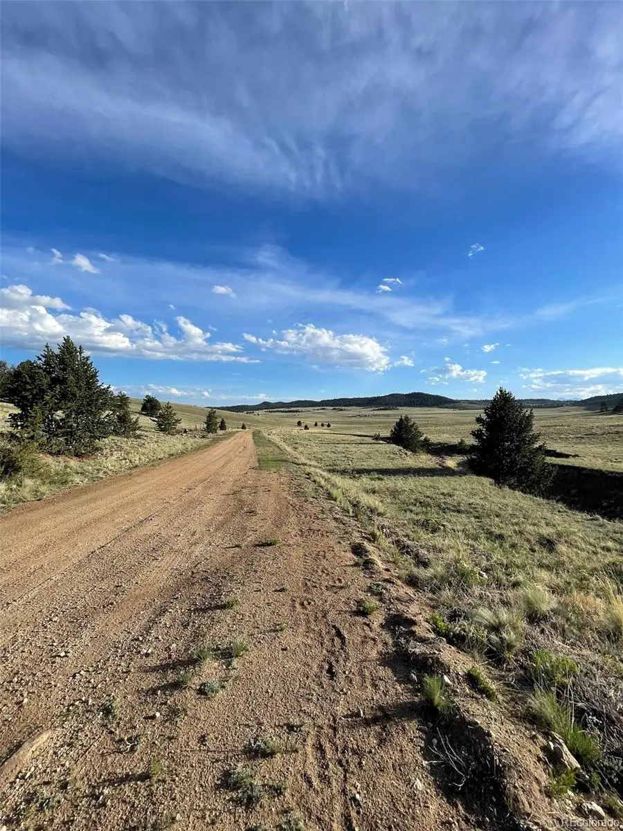 691 Cathy Drive, Hartsel, CO 80449 - #3