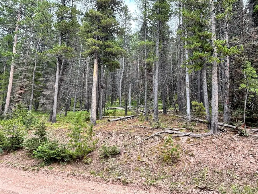 00 Moir Drive, Fort Garland, CO 81133 - Image #2