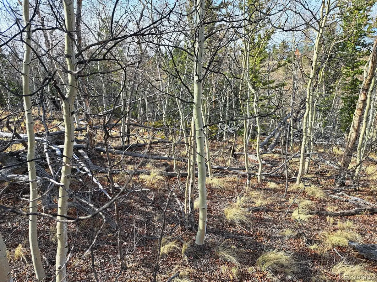 93 Wyandot Way, Como, CO 80432 - #1