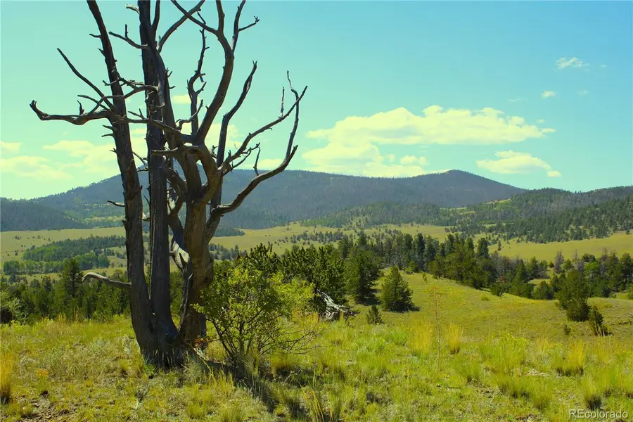 Hwy 9, Guffey, CO 80820 - Image #3