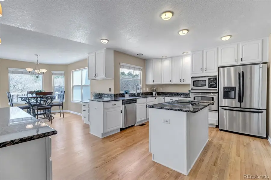 1645 Birchleaf Court, Castle Rock, CO 80104 - #3