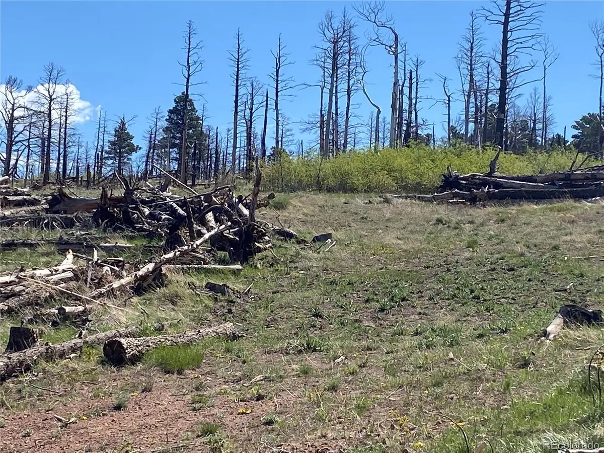 2142 Riccardo Lane, Fort Garland, CO 81133 - Image #1