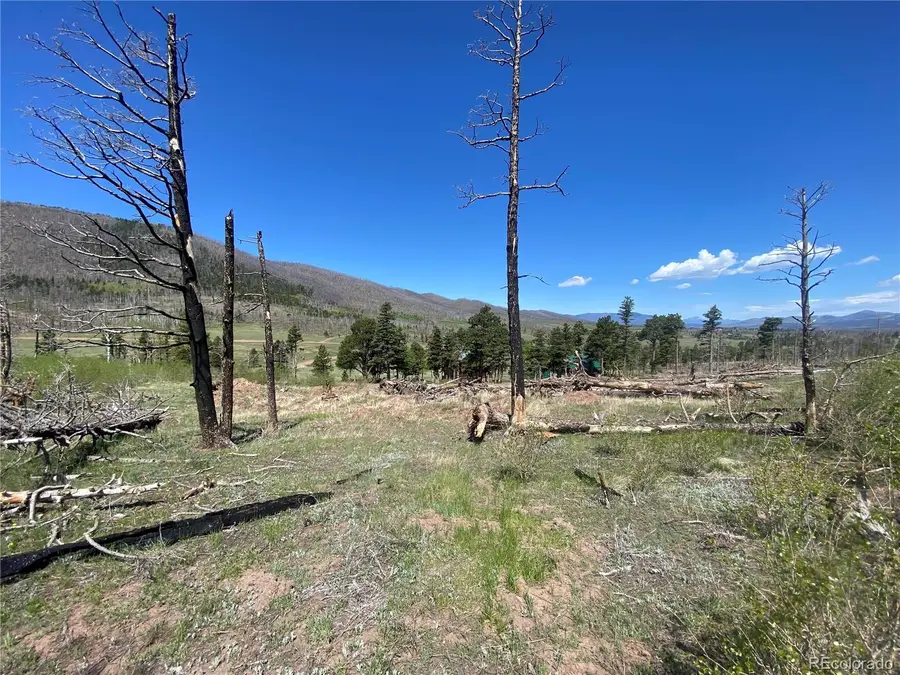 2142 Riccardo Lane, Fort Garland, CO 81133 - Image #3