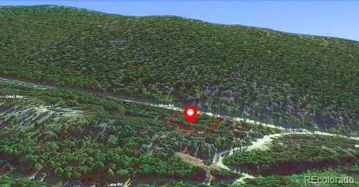 U2 Lot 42 Mine Road, Idaho Springs, CO 80452 - #3