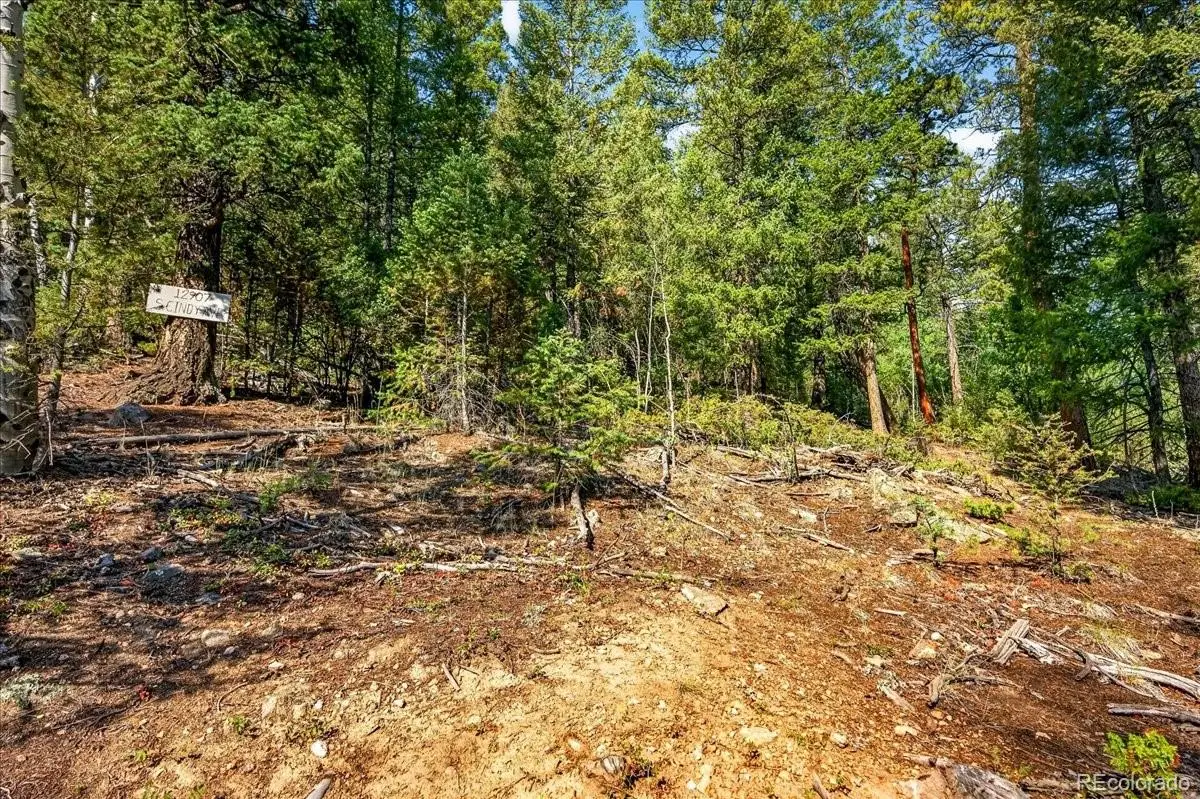 12907 S Cindy Avenue, Pine, CO 80470 - #1