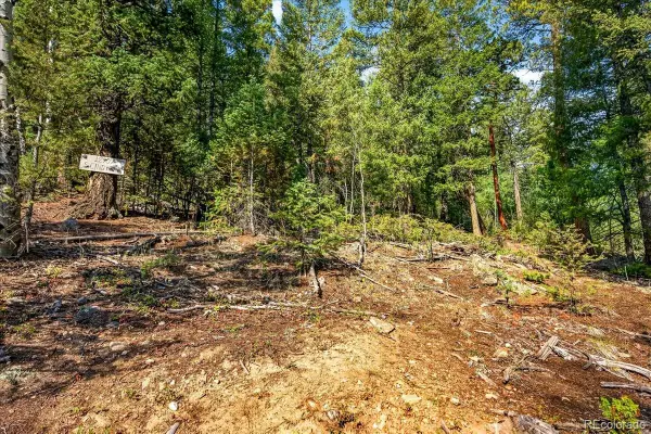 12907 S Cindy Avenue, Pine, CO 80470