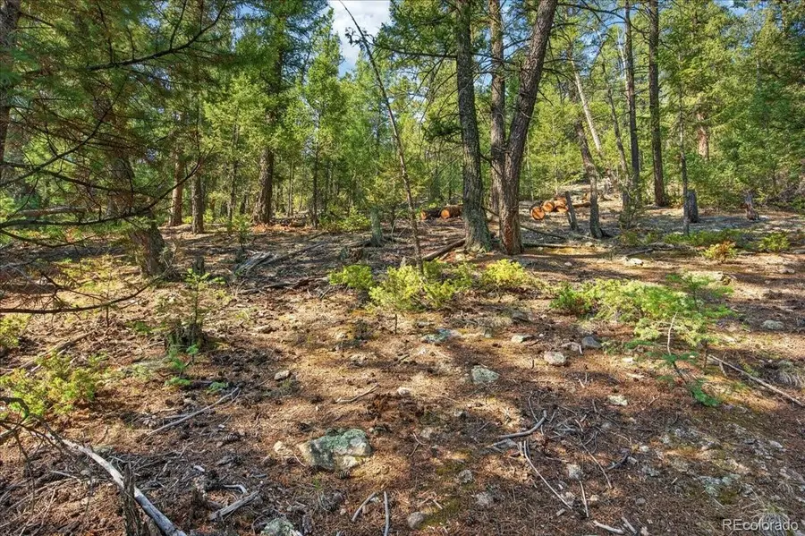 12907 S Cindy Avenue, Pine, CO 80470 - #2