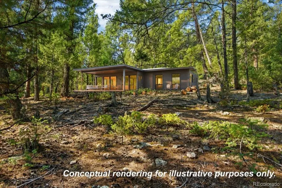 12907 S Cindy Avenue, Pine, CO 80470 - #3
