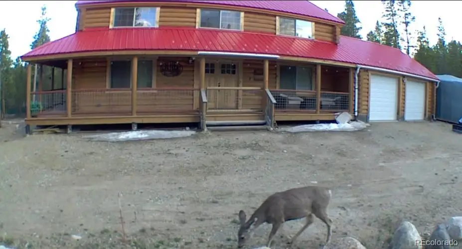 550 Cedar Drive, Leadville, CO 80461 - Image #1