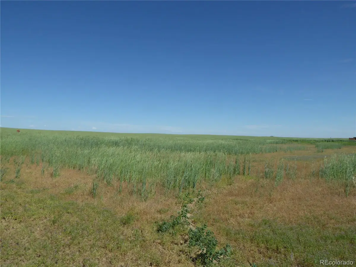 4242 Cr 185, Byers, CO 80103 - Image #1