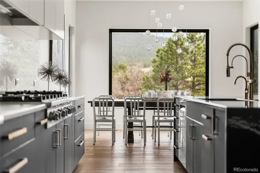 1140 Silverheels Drive, Larkspur, CO 80118 - #2