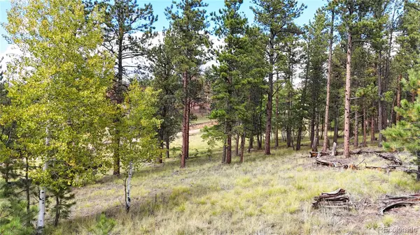 2265 Vagabond Creek Drive, Lake George, CO 80827