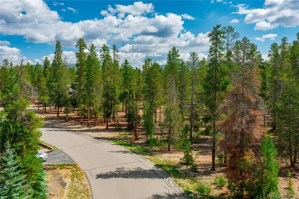 589 & 611 Augusta Drive, Leadville, CO 80461