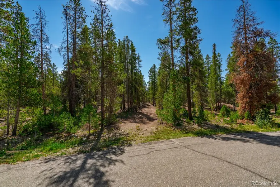 589 & 611 Augusta Drive, Leadville, CO 80461 - #2