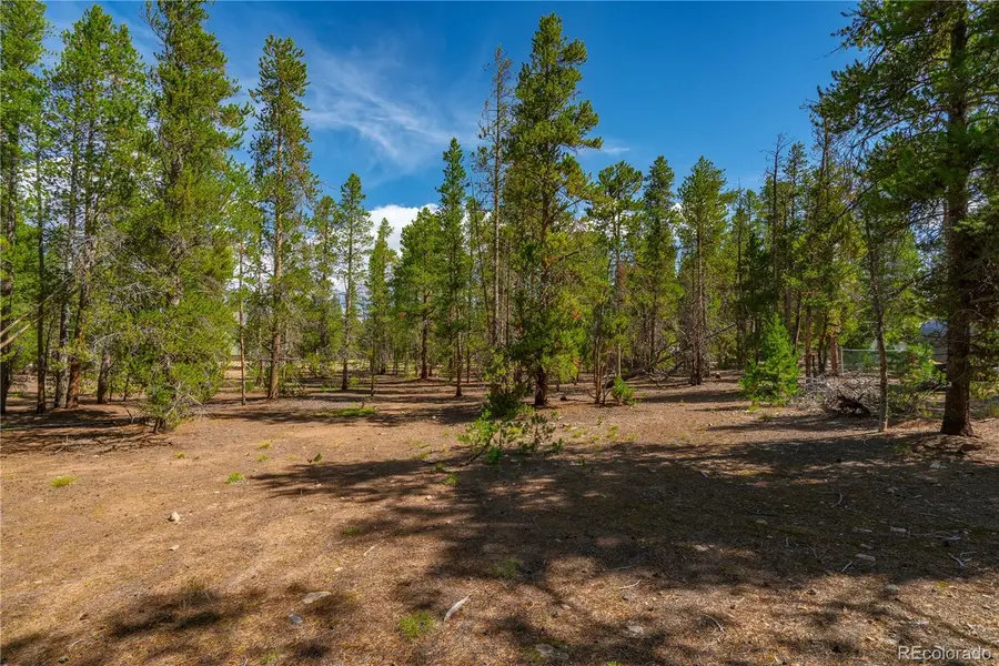 589 & 611 Augusta Drive, Leadville, CO 80461 - #3