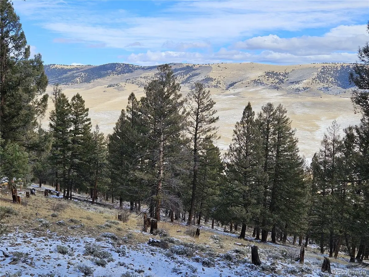 4260 Middle Fork Vista, Fairplay, CO 80440 - #1