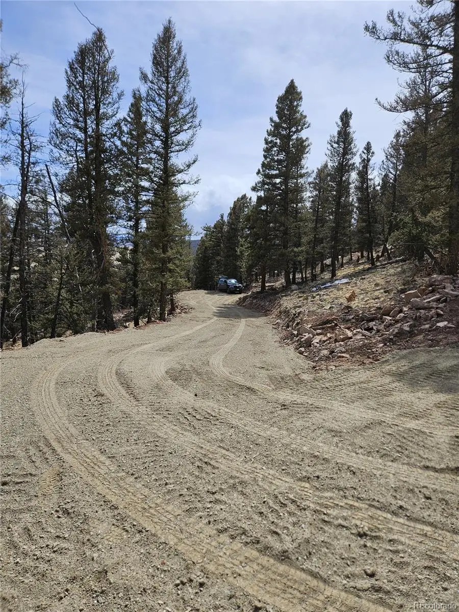 4260 Middle Fork Vista, Fairplay, CO 80440 - #3