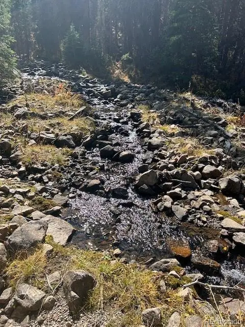 16667 Little Jesse Mc, Nathrop, CO 81236 - Image #1