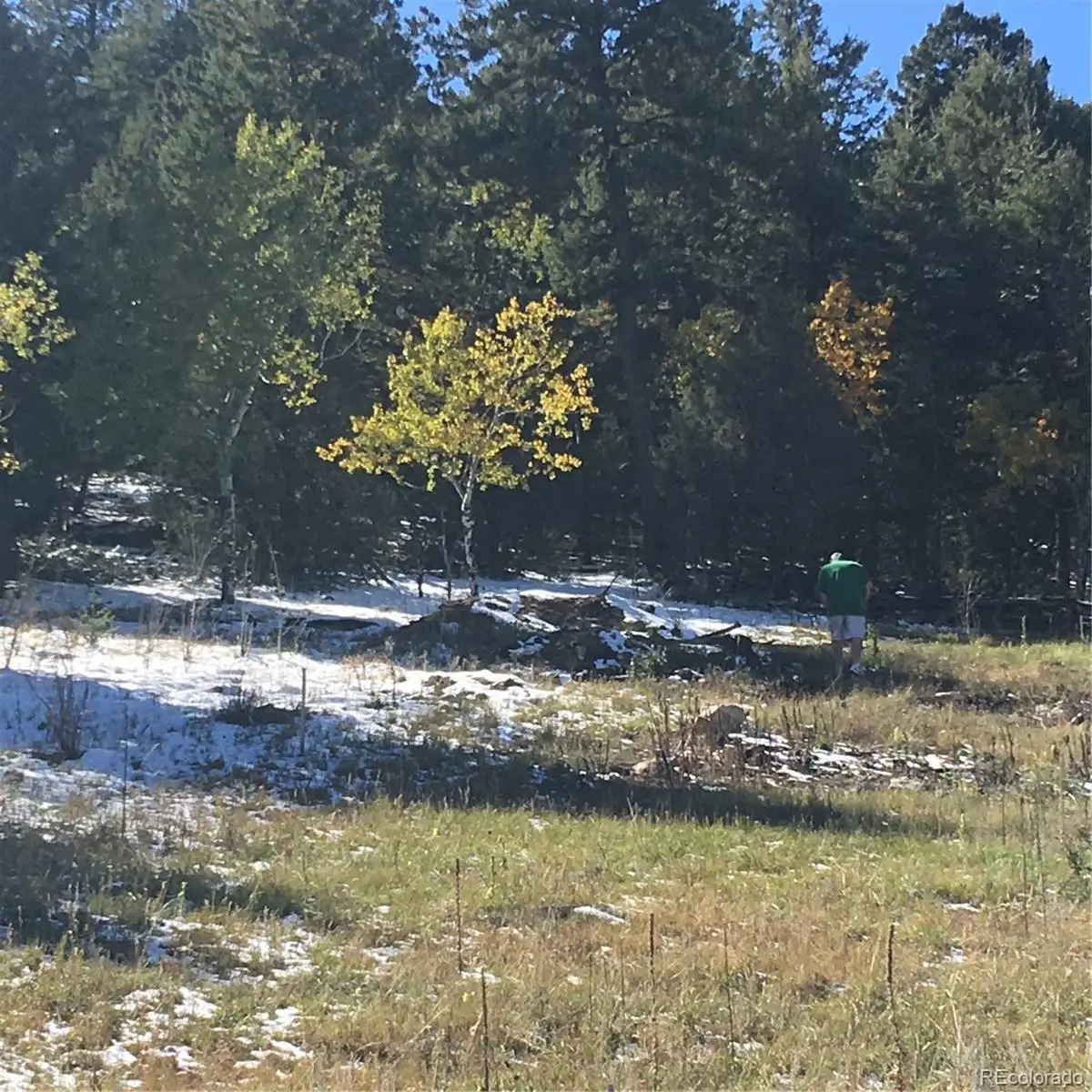 14745 Wetterhorn Peak Trail, Pine, CO 80470 - #1