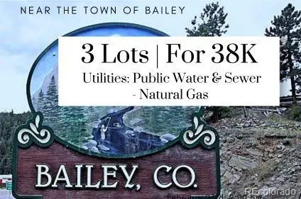 214 Virginia, Bailey, CO 80421
