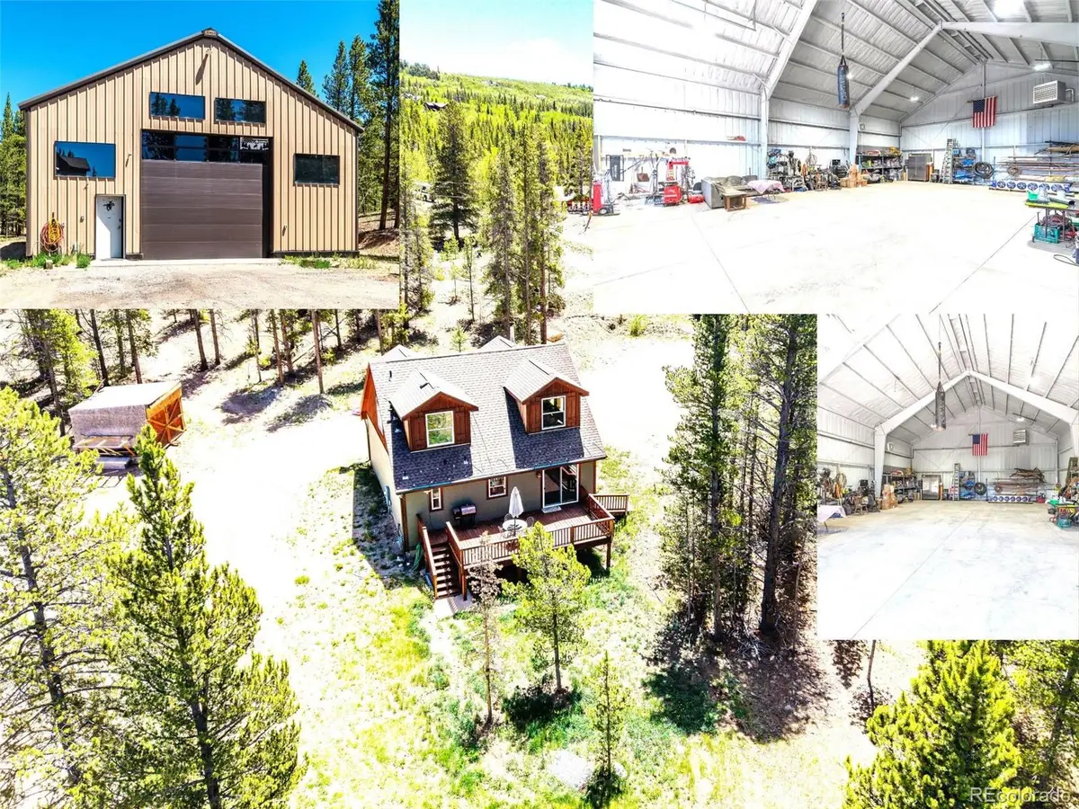 93 Placer Drive, Alma, CO 80420 - #1