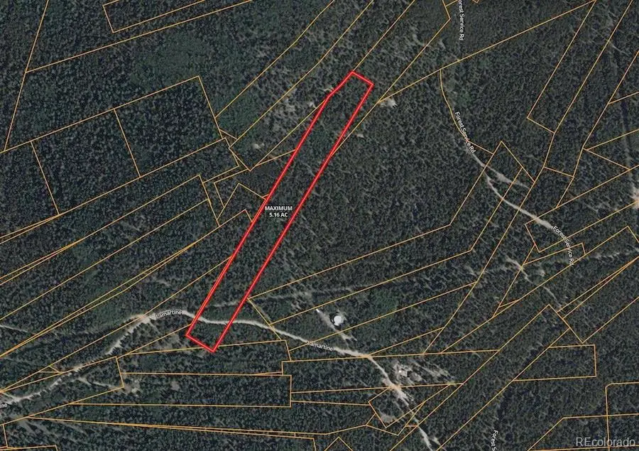 000 Lamartine Road, Idaho Springs, CO 80452 - #1